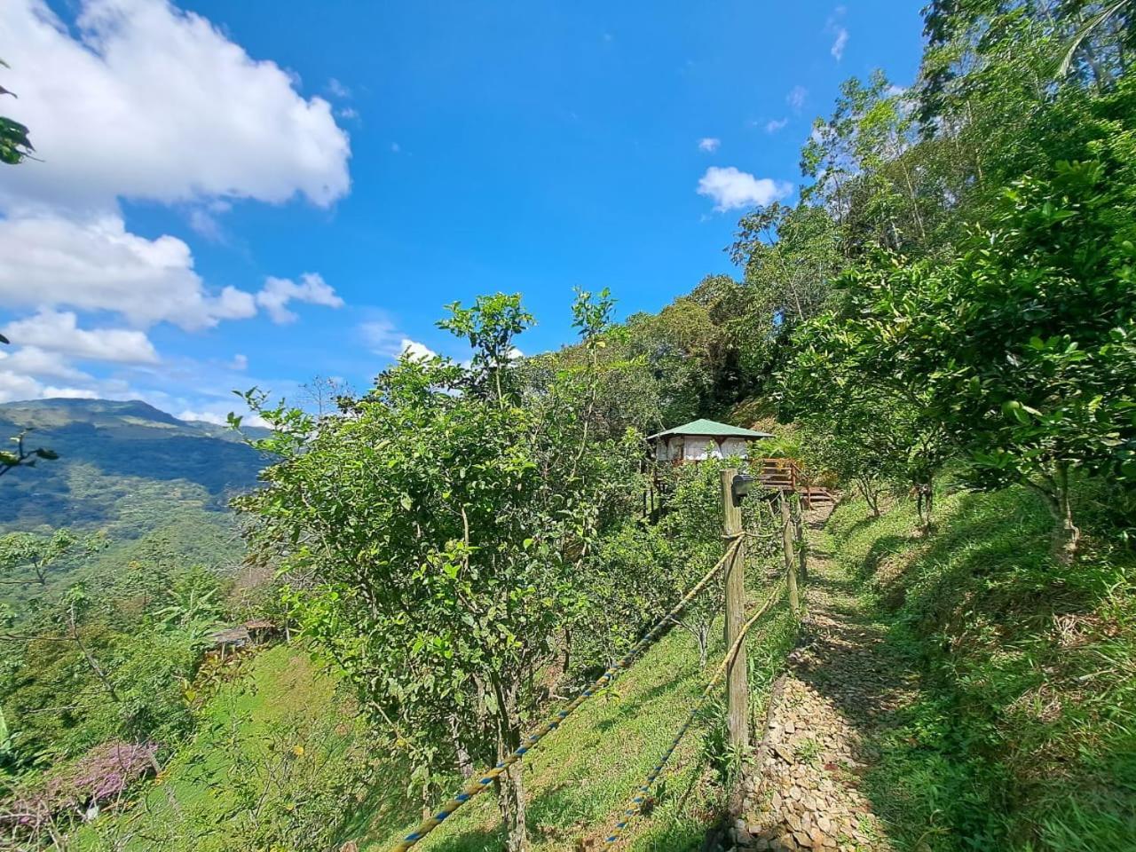 Tambo Eco Hotel La Vega  Dış mekan fotoğraf